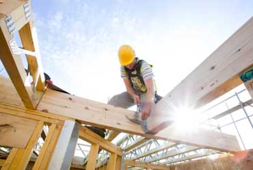 Carpenter All Types